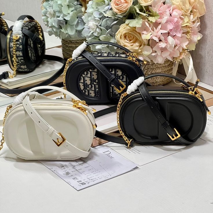 CHRISTIAN DIOR CD Signature Oval Camera Bag - Black