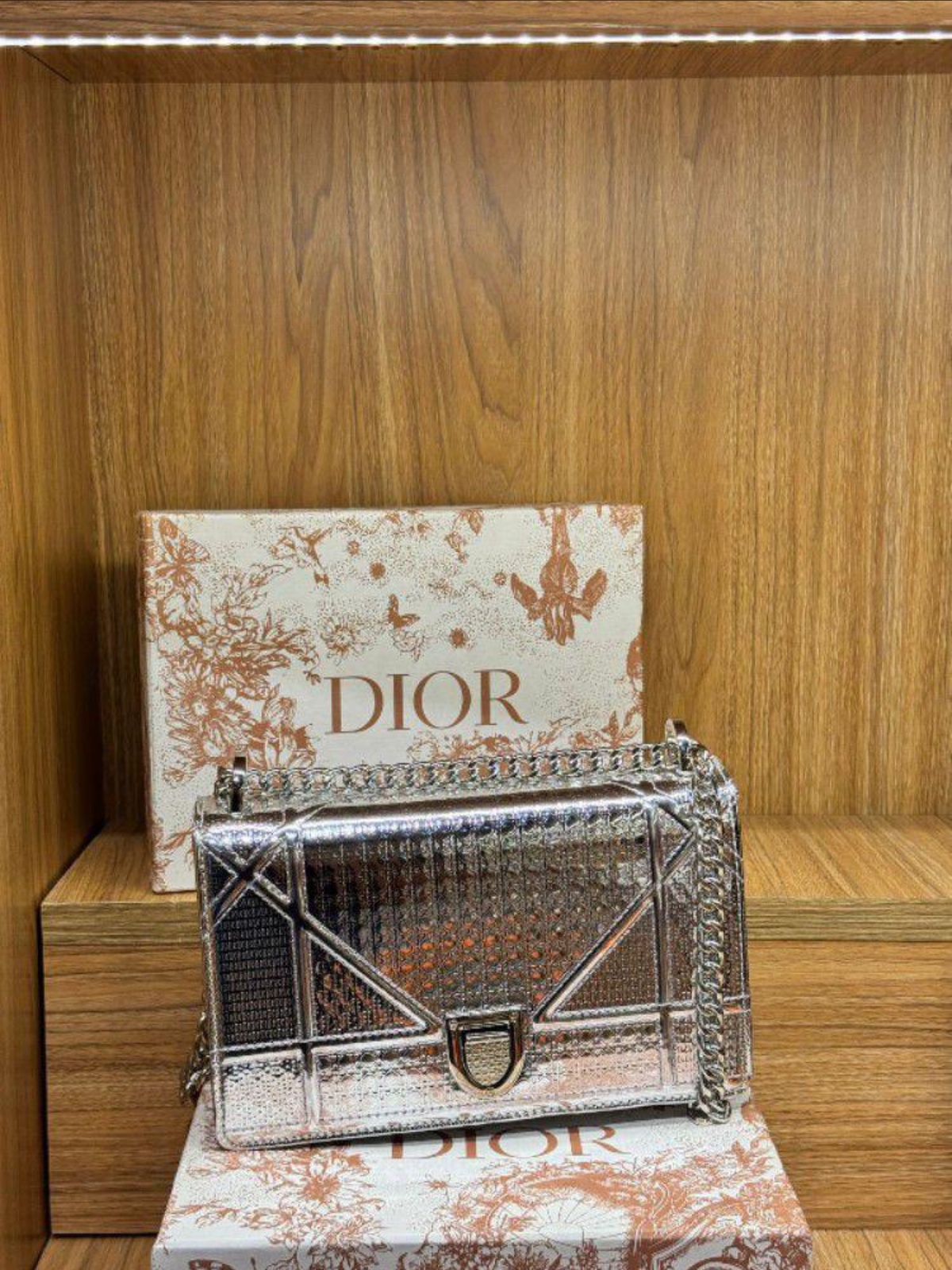 DIOR Metallic Micro Cannage Mini Diorama Bag - Silver